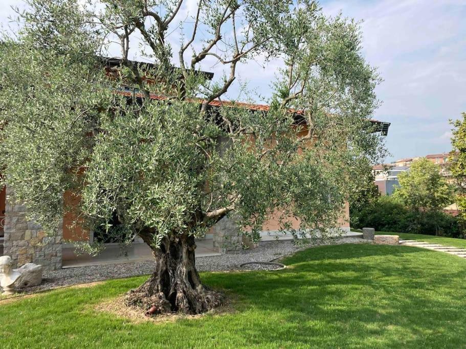San Lorenzo Apartment
