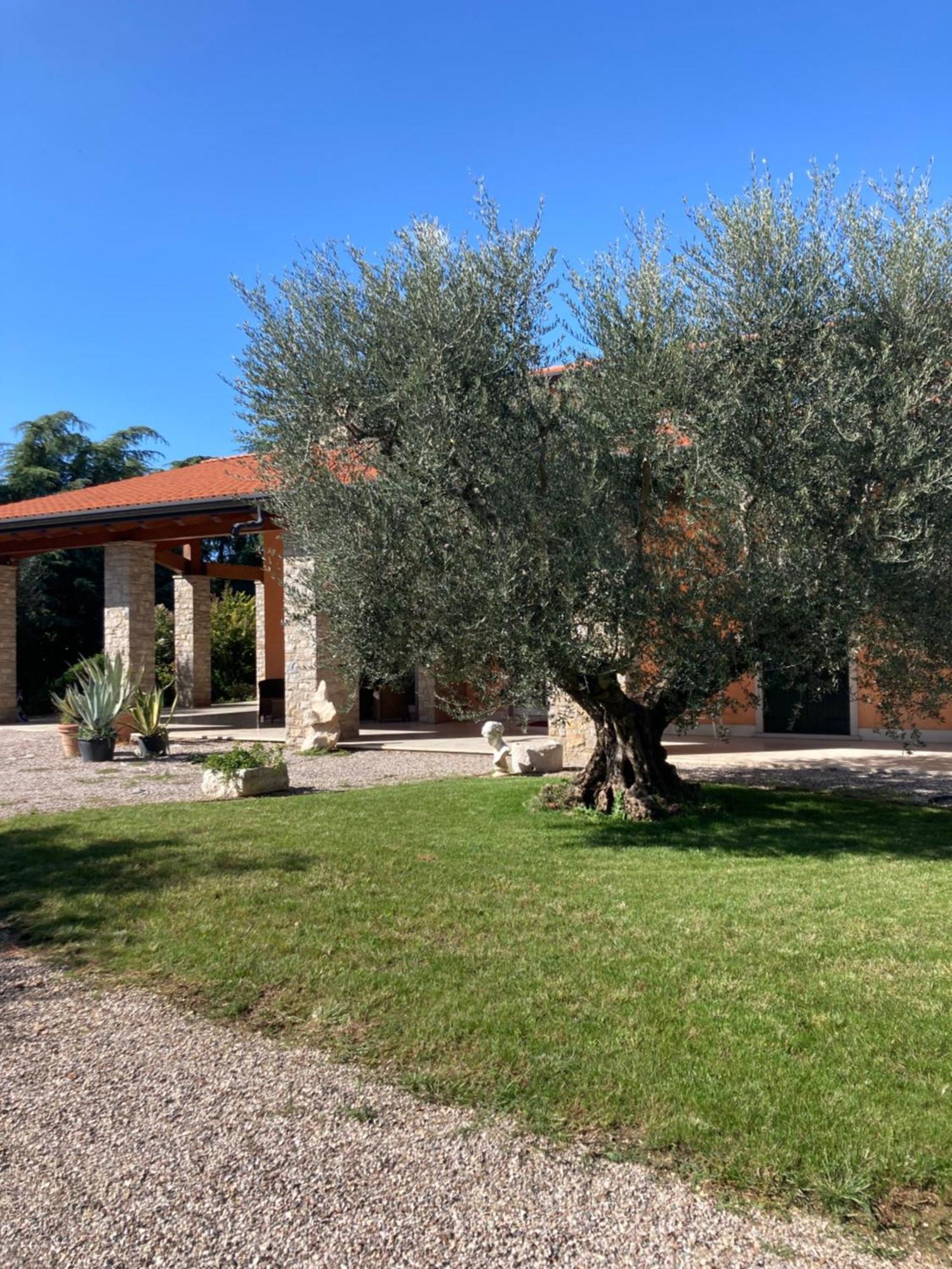 San Lorenzo Apartment